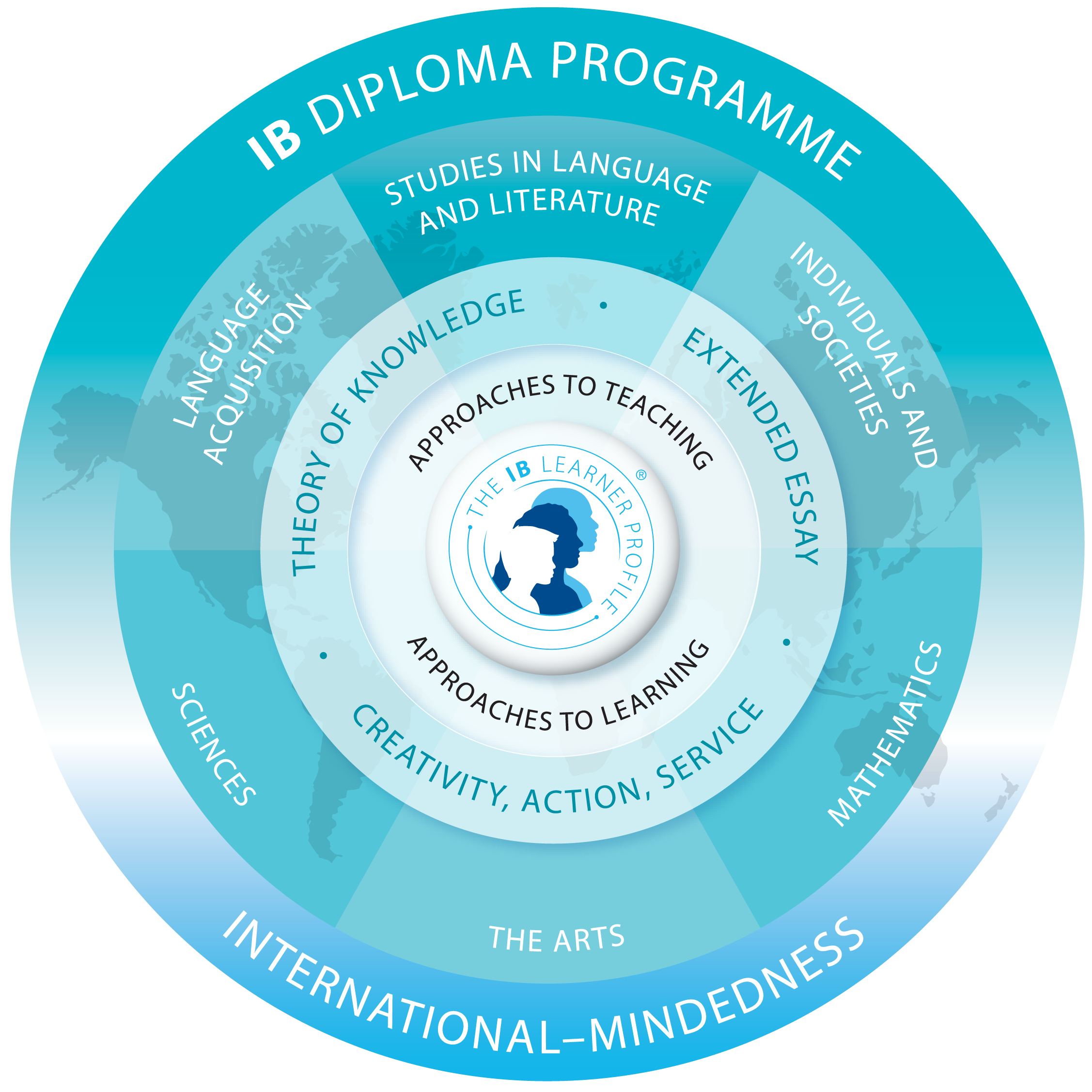 DP Programme Model