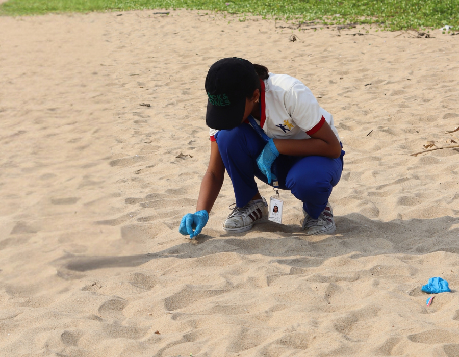 Community Cleanups