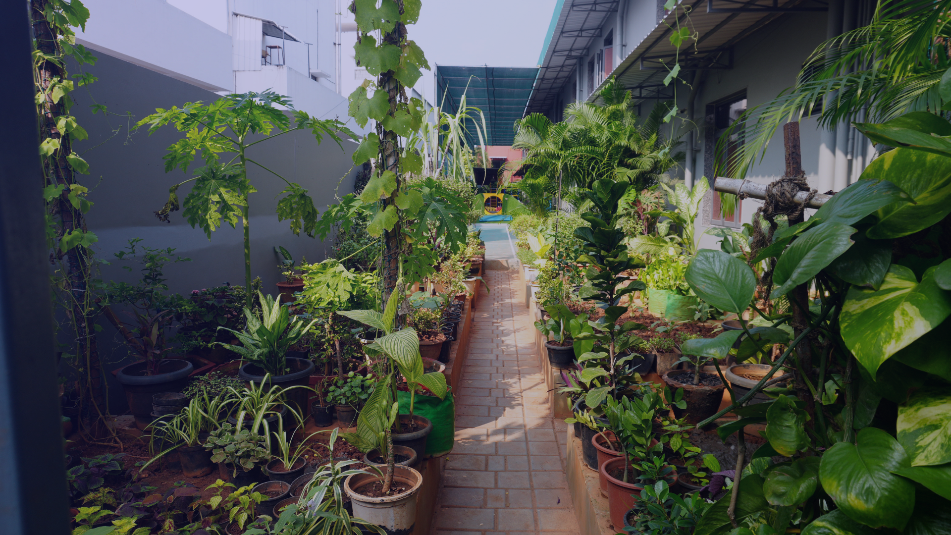 Sustainability at aLphabet